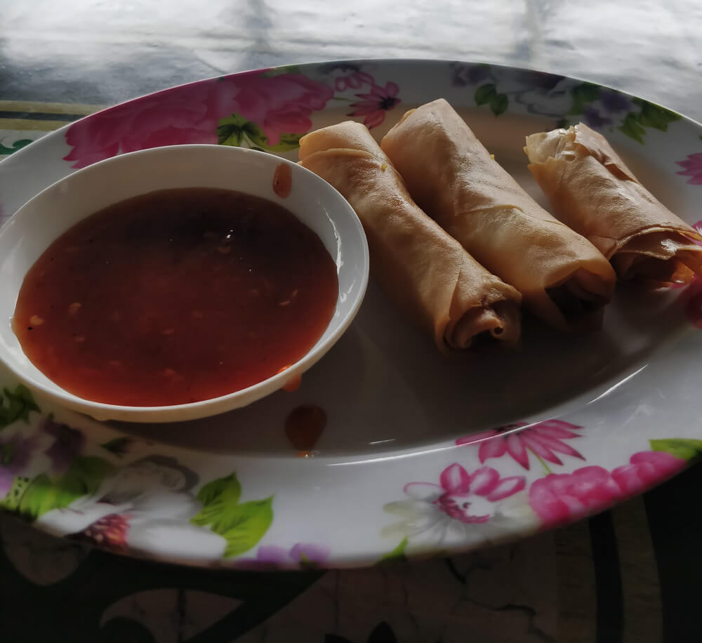 spring-rolls-malaysia-street-food-delicious.jpg