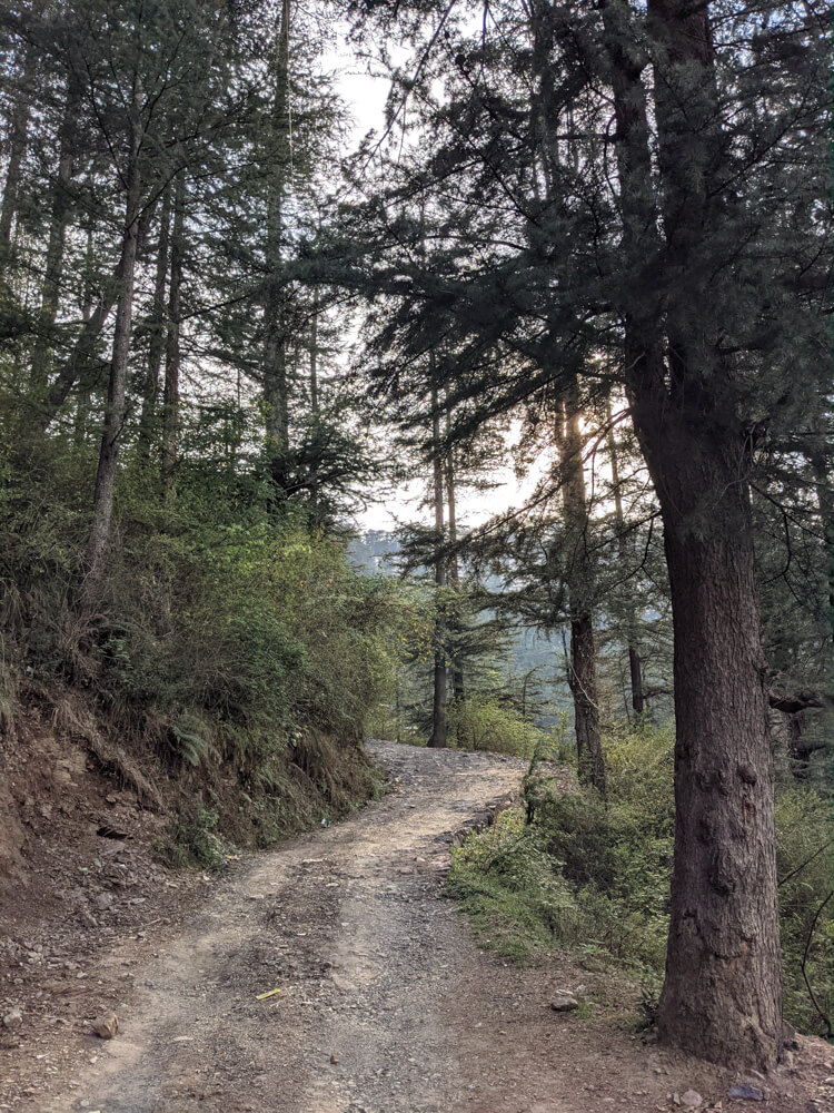 road to home in shakrala himachal