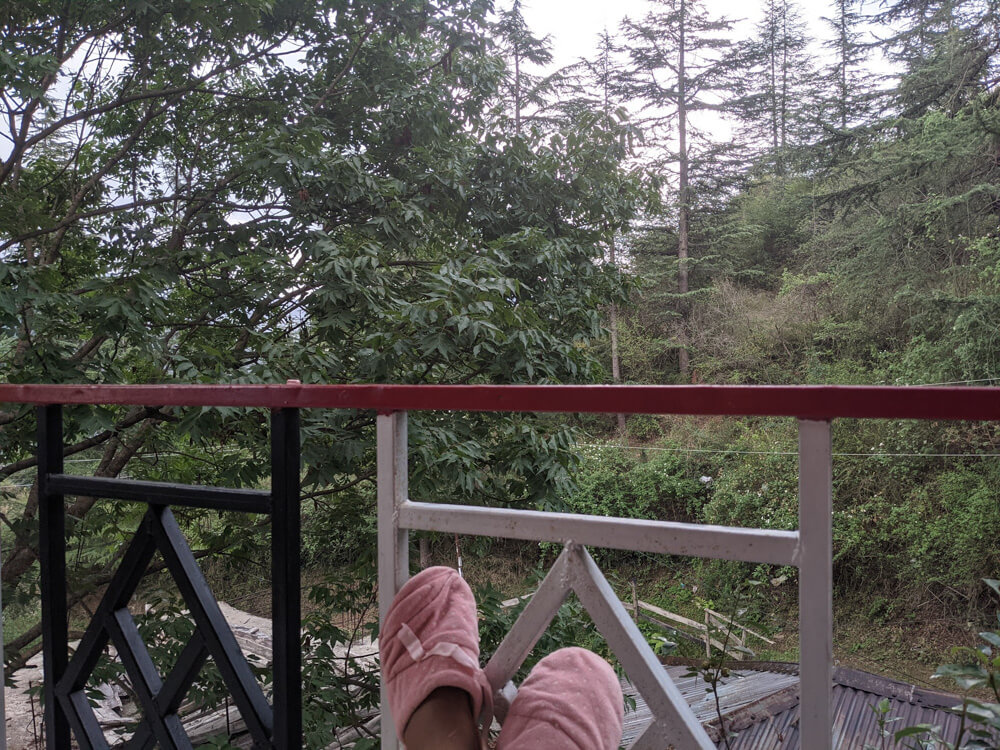 shimla home