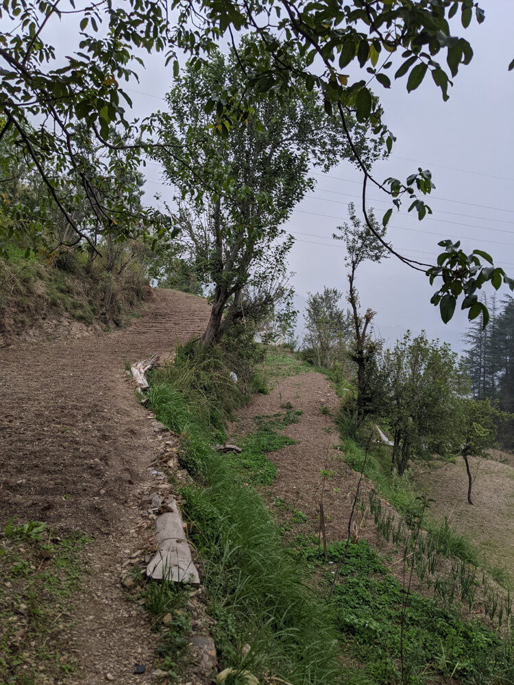 how-farming-is-done-on-Himalayan-hills