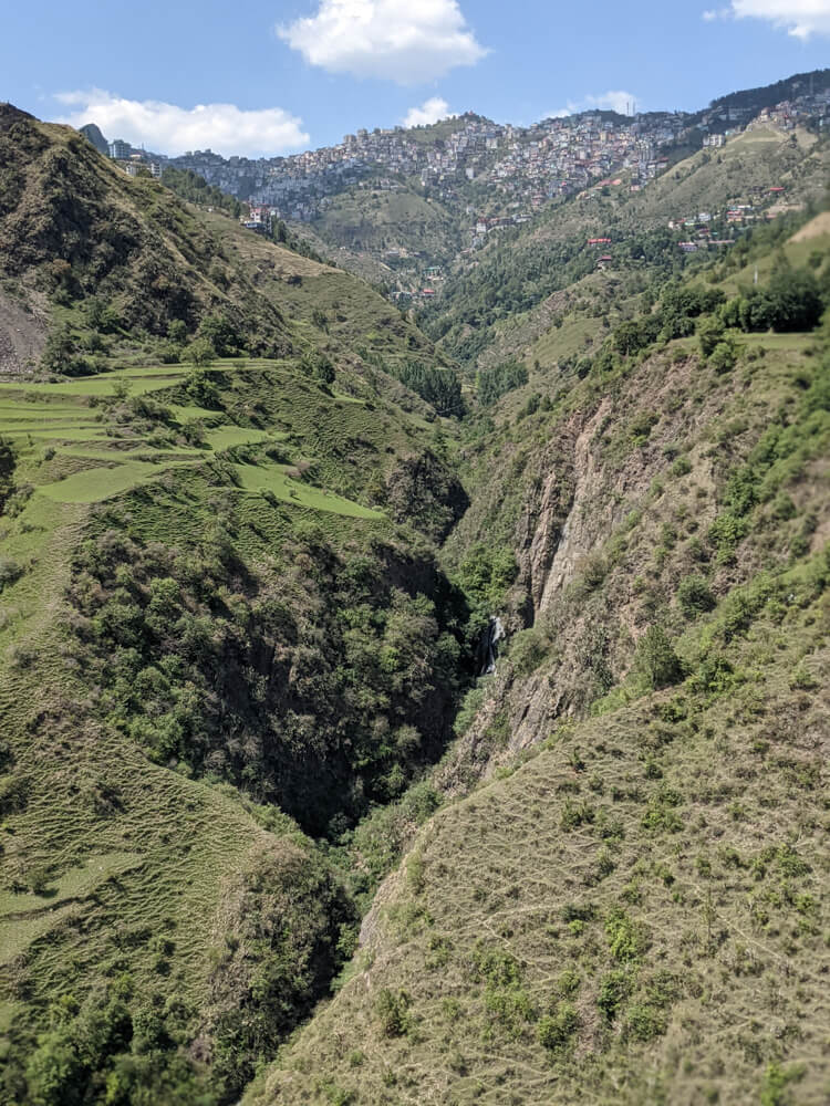 the dense Manjauli shimla himachal