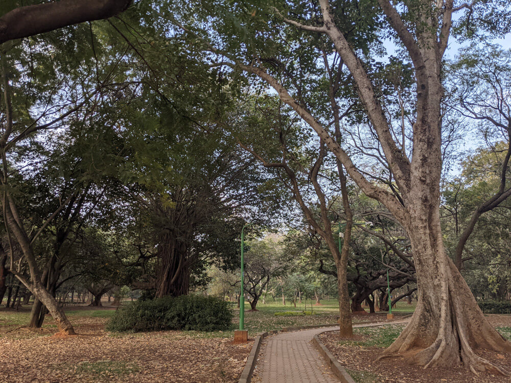 bangalore cubbon park walkways