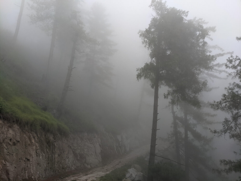 foggy path to shikari devi temple