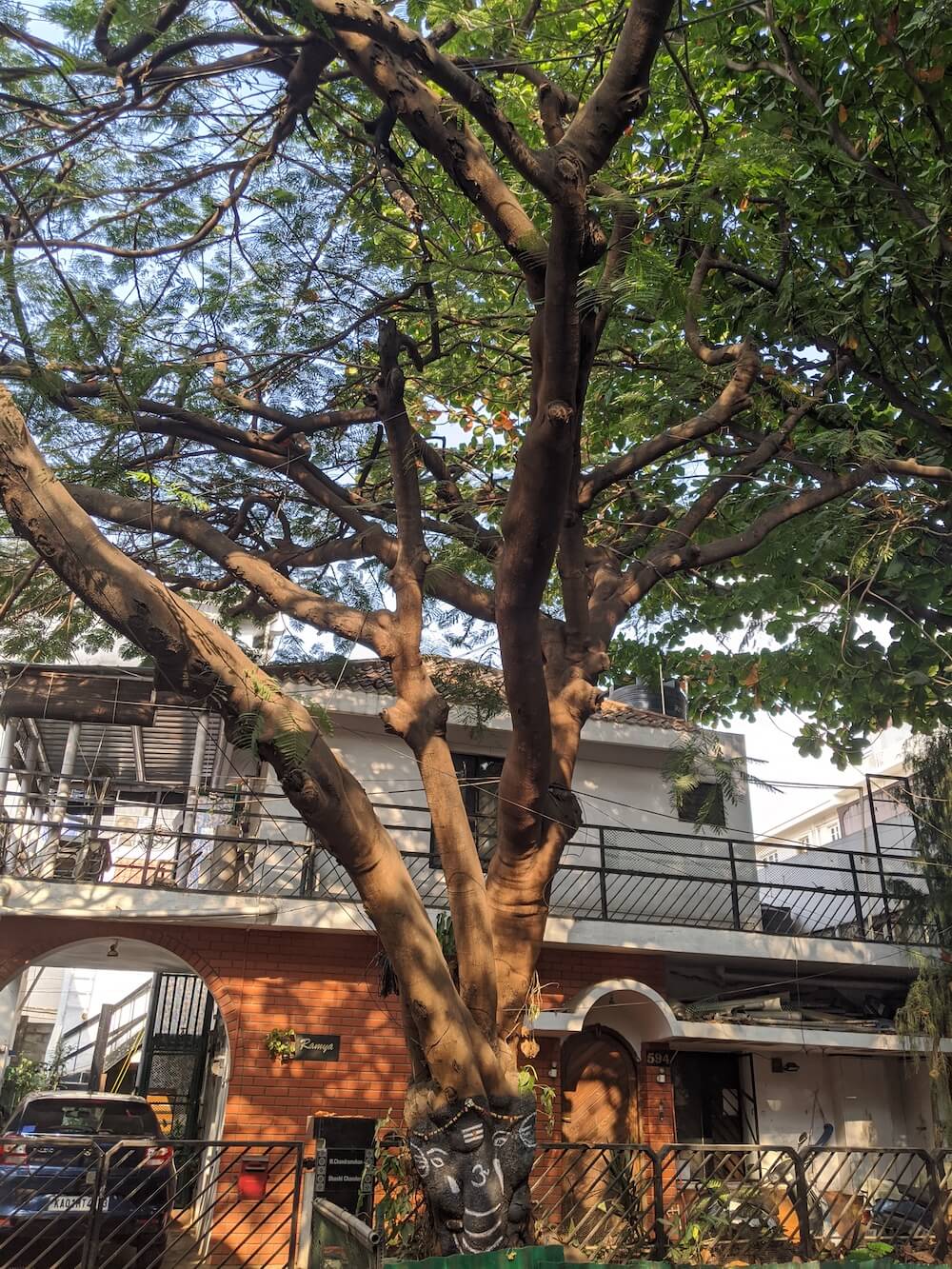 1 / 2 – ganesh on tree in bangalore.jpeg