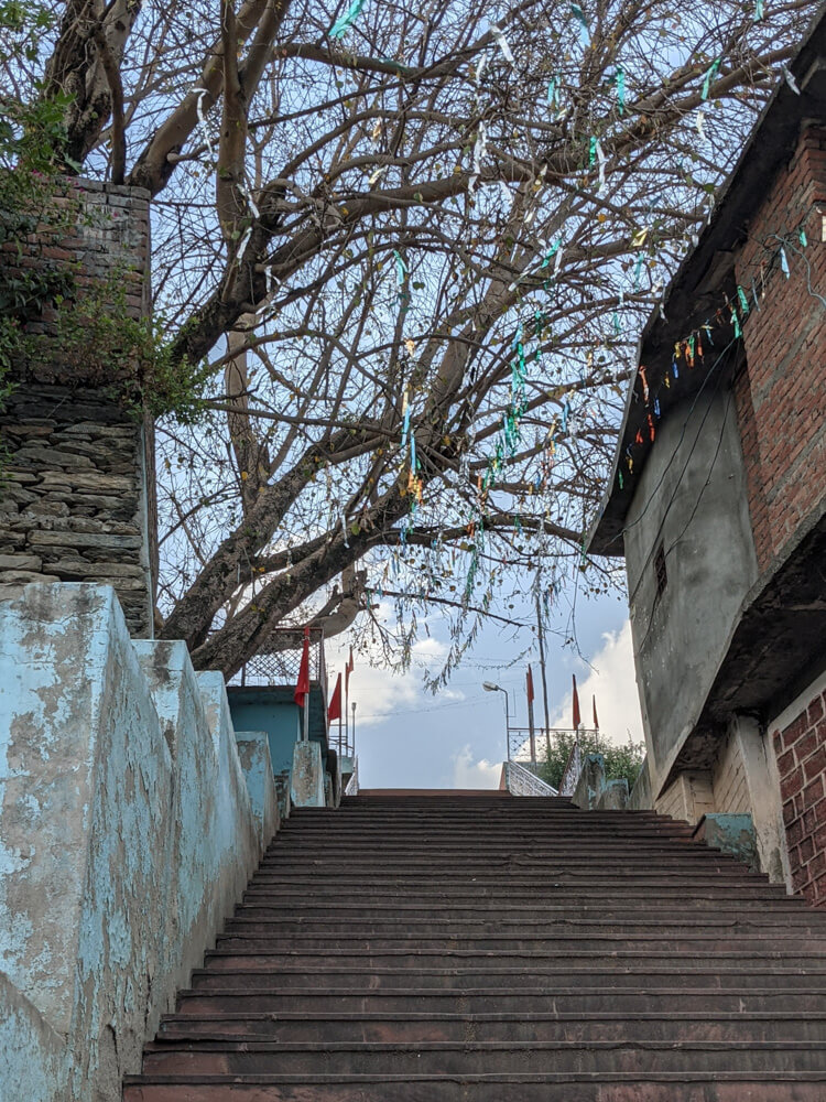 stairs to fort pangna