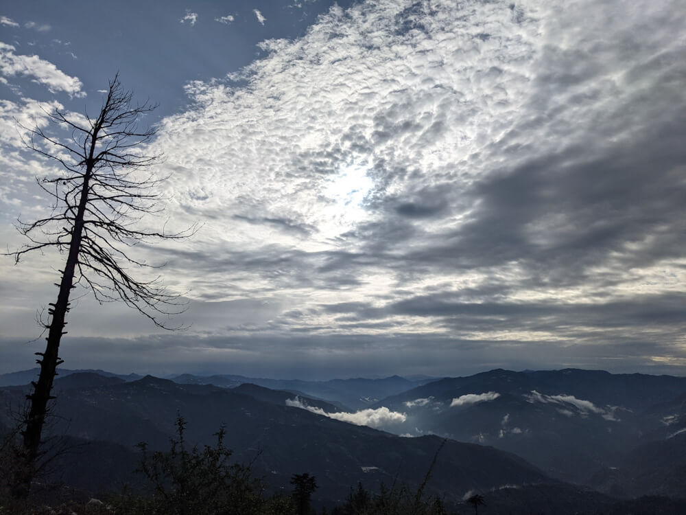 views from Vishisht homestay Fagu shimla