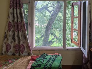 window of our bedroom in nalagali homestay himachal pradesh photos
