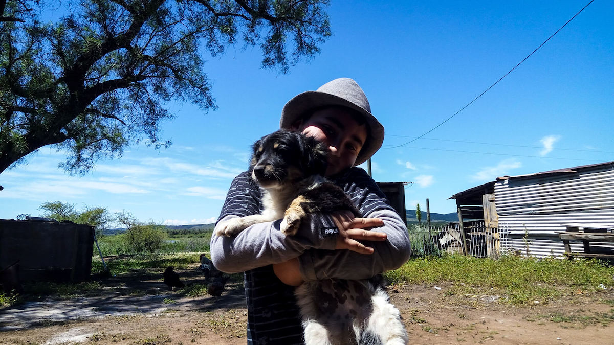 the little kid in chile with a puppy in countryside cauquenes